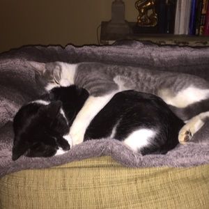 Meet your Posher, Pam